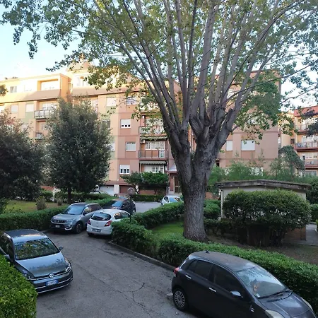 Luciano Sunset *